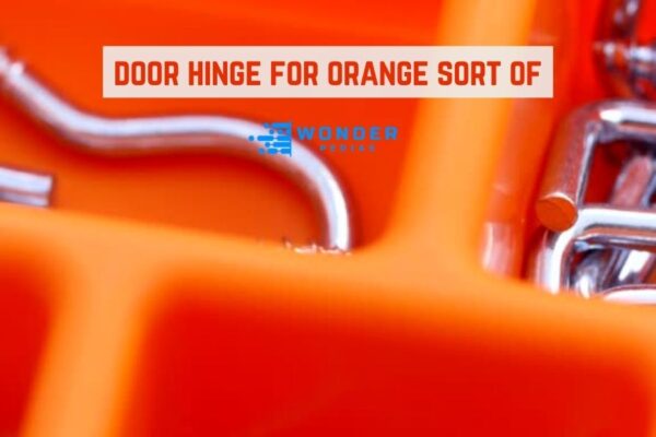 door hinge for orange sort of