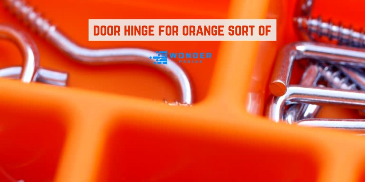 door hinge for orange sort of