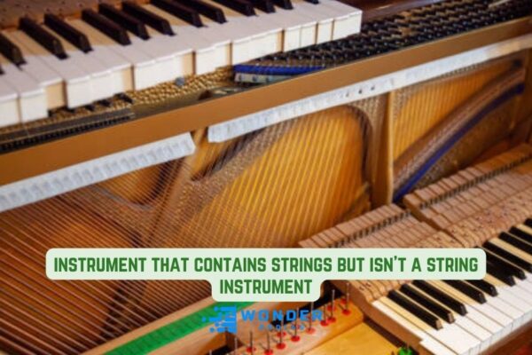 instrument that contains strings but isn't a string instrument