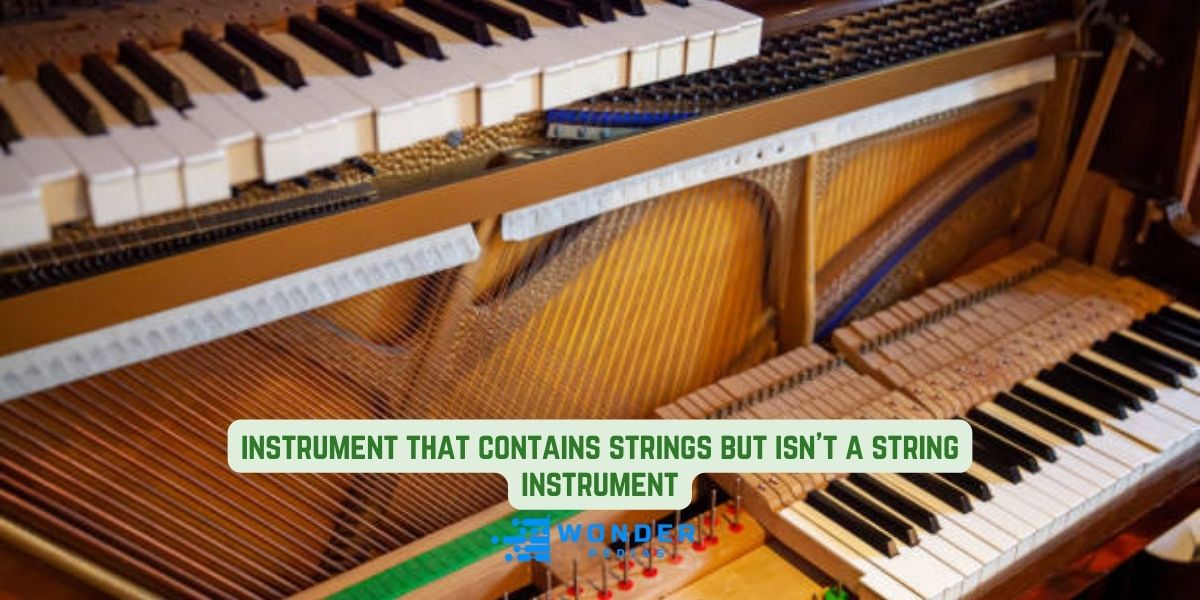 instrument that contains strings but isn't a string instrument