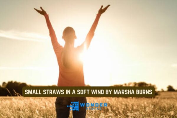 small straws in a soft wind by marsha burns