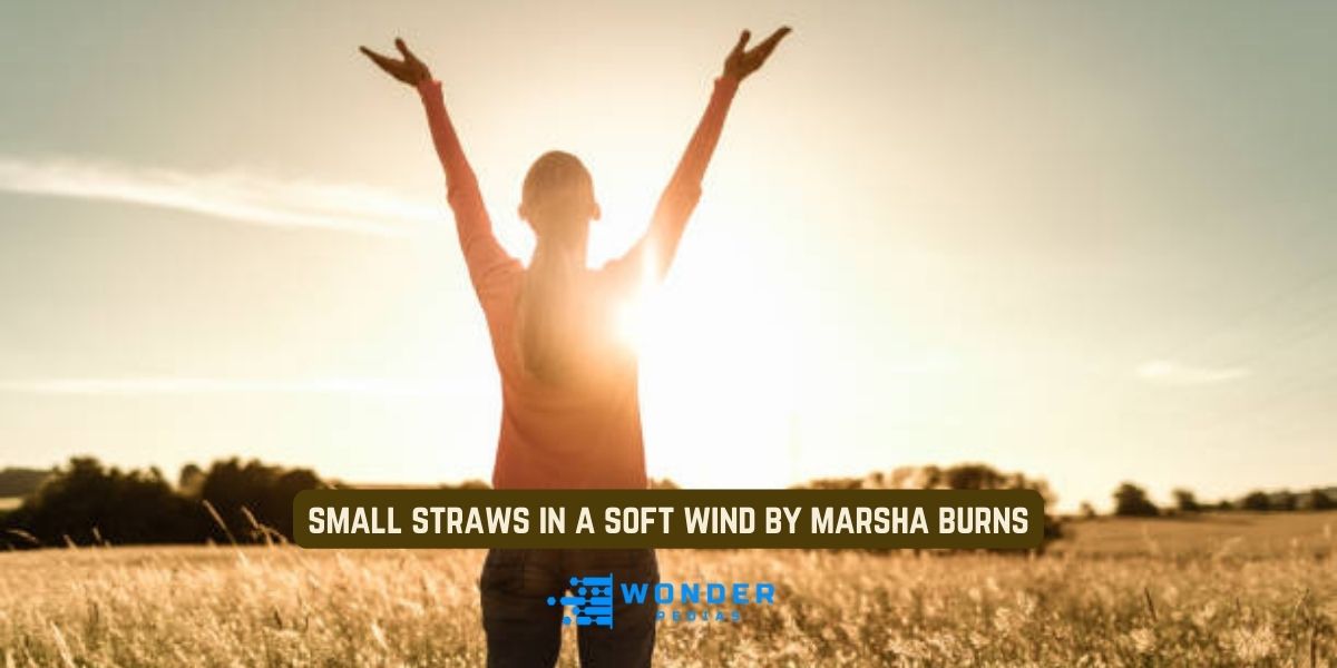 small straws in a soft wind by marsha burns